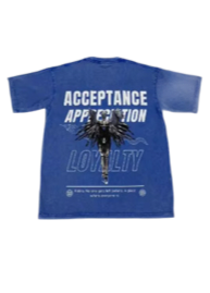 Light t shirt